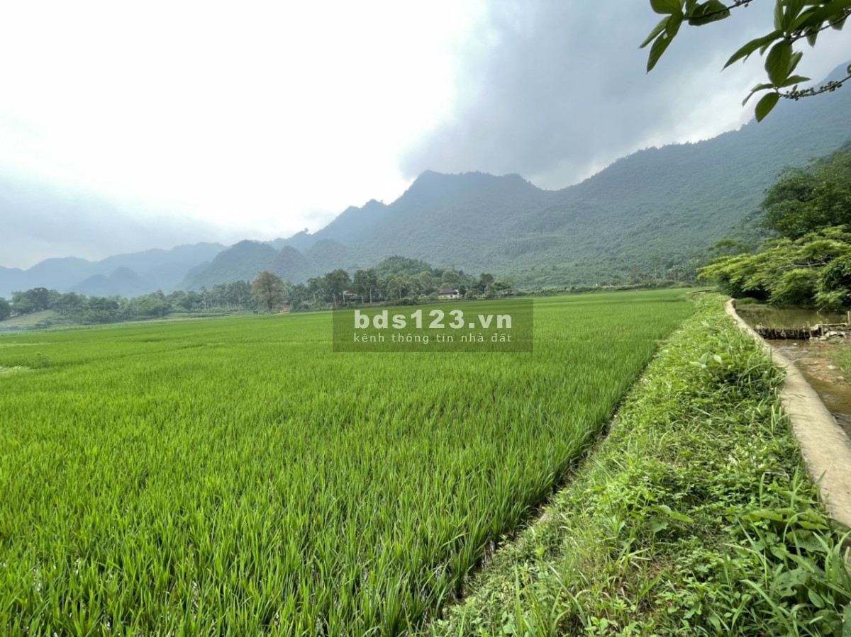 Bán 2000m đất ở vườn tại Lạc Sơn, HB giá chỉ 350k/m2. View cánh đồng đẹp không điểm chê 0982876689