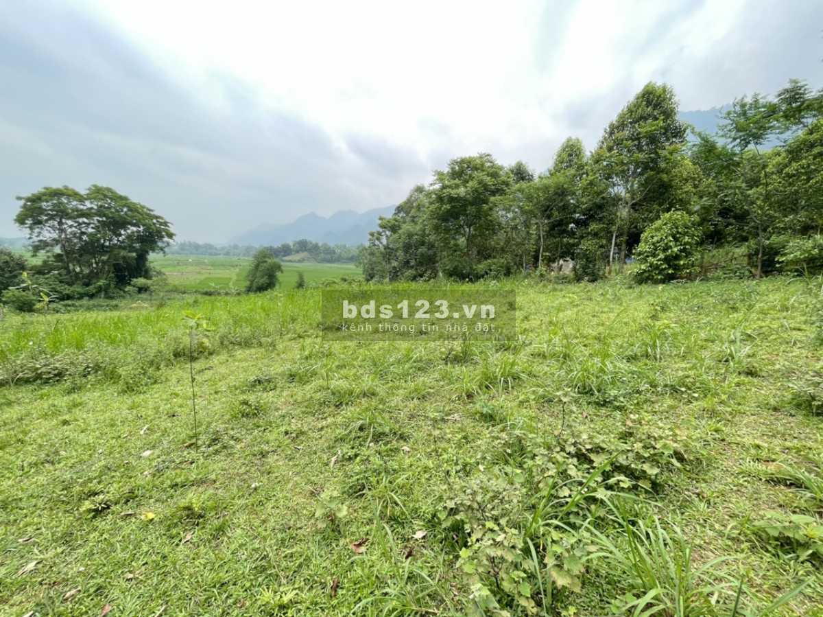 Bán 2000m đất ở vườn tại Lạc Sơn, HB giá chỉ 350k/m2. View cánh đồng đẹp không điểm chê 0982876689