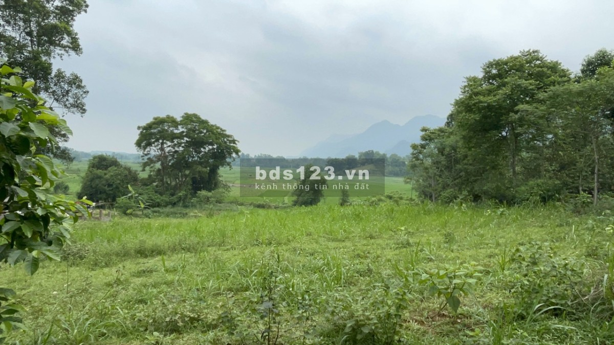 Bán 2000m đất ở vườn tại Lạc Sơn, HB giá chỉ 350k/m2. View cánh đồng đẹp không điểm chê 0982876689