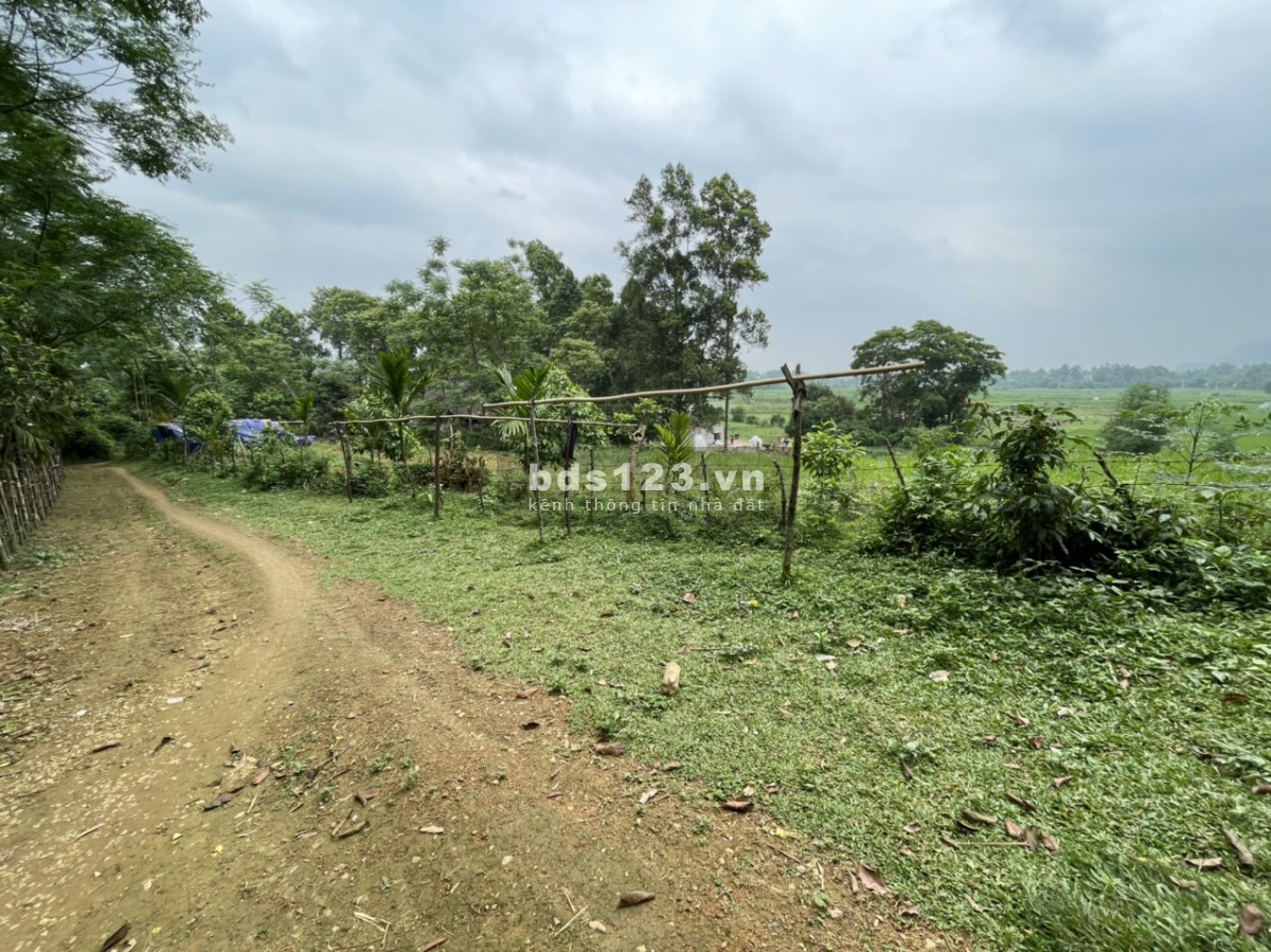 Bán 2000m đất ở vườn tại Lạc Sơn, HB giá chỉ 350k/m2. View cánh đồng đẹp không điểm chê 0982876689