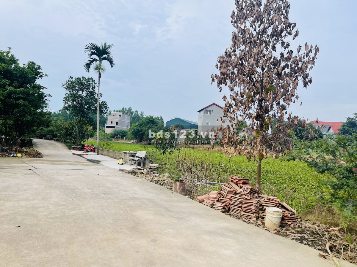 Bán đất Chùa Tiếng Hương Sơn Bình Xuyên Vĩnh Phúc liên hệ 0352567656