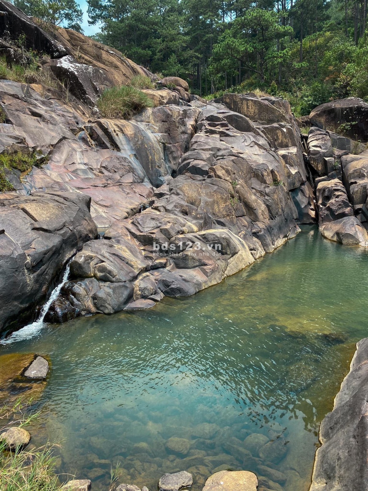 Cần bán đất giá đầu tư tại vùng đất Di Linh View Sông liên hệ 07786.77866