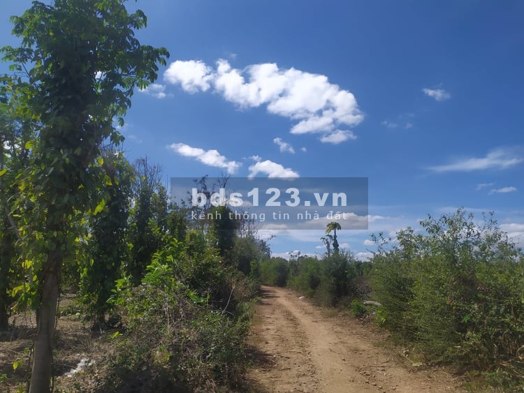 Bán nhanh lô đất ngay chợ Quỳnh Ngọc, Krong Ana liên hệ 0909370517