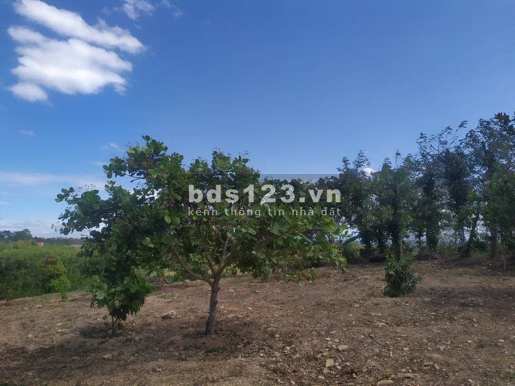 Bán nhanh lô đất ngay chợ Quỳnh Ngọc, Krong Ana liên hệ 0909370517