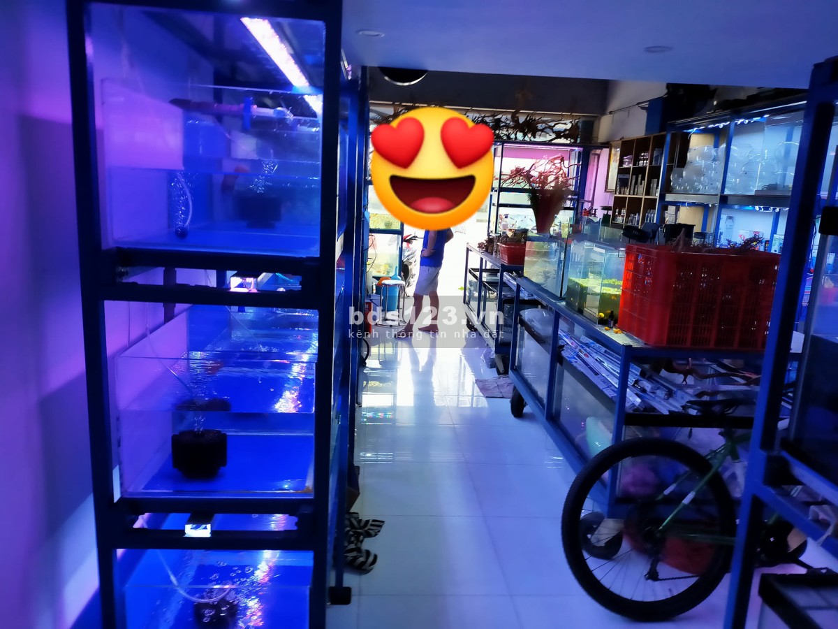 Bán nhà mặt tiền kinh doanh đa ngành Lạc Long Quân Tân Bình giá Quận 10 Quận 11, giá 11.2 tỷ