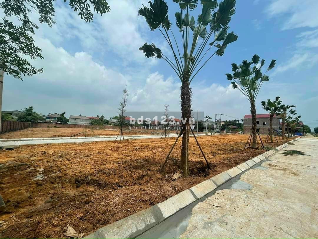 Đất nền đấu giá sổ đỏ trao tay, bàn giao có sổ ngay giá đầu tư sinh lời