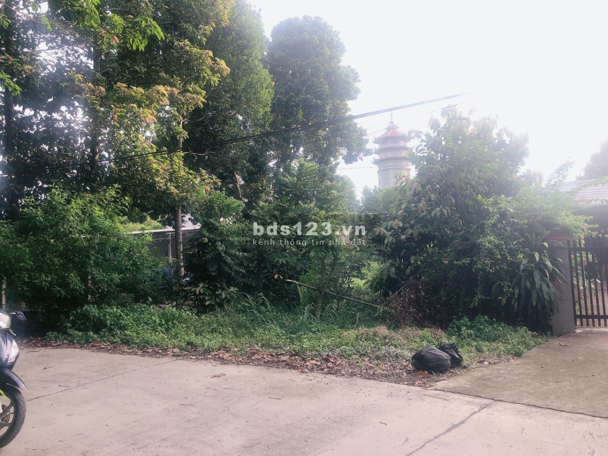 Hạ giá bán gấp 3ty5 còn 3ty2 - Lô đất vườn siêu đẹp đường Phú Mỹ nối dài, xã Phú Hoà Đông, Củ Chi