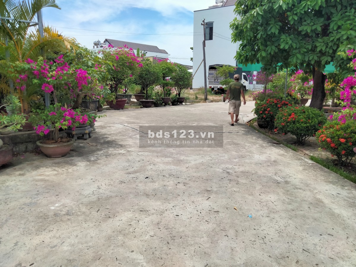 Bán đất full đất ở thị ngang 6.16m tại Phú Ân Nam Diên An Diên Khánh, pháp lý chuẩn