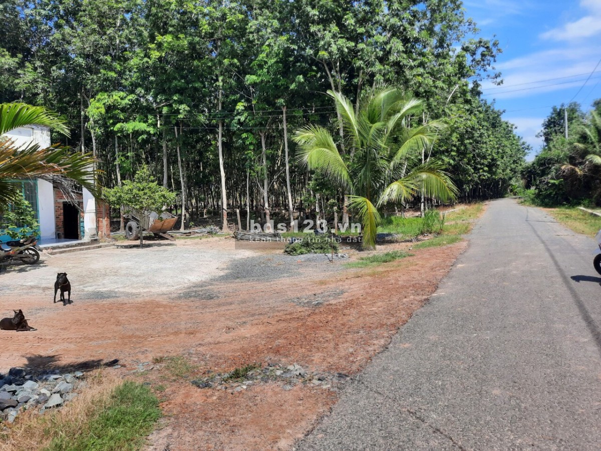 Chính chủ cần bán vị trí đẹp view kênh đường lớn, xe ra vào thoải mái