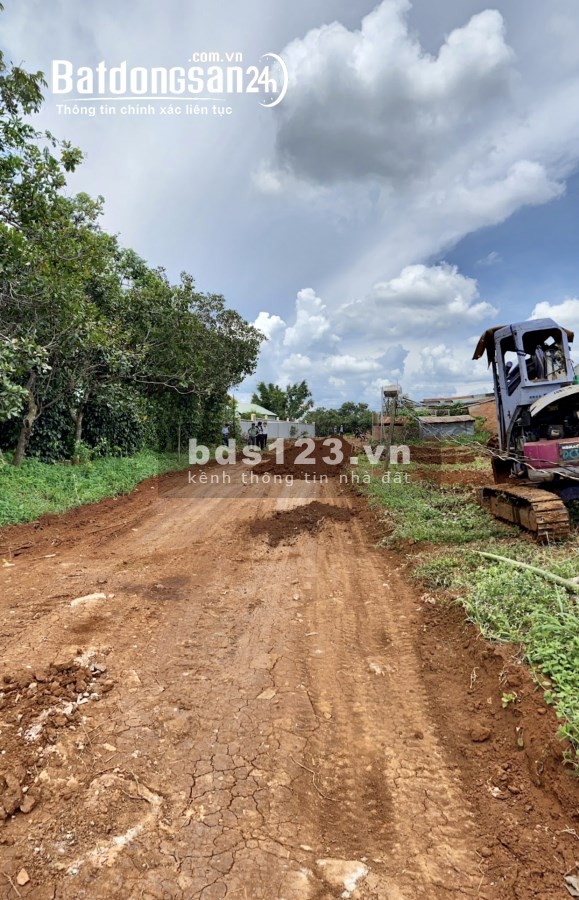 Bán đất Đ.753 , Xã Tân Lợi, huyện Đồng Phú tỉnh Bình Phước lh 0969425407