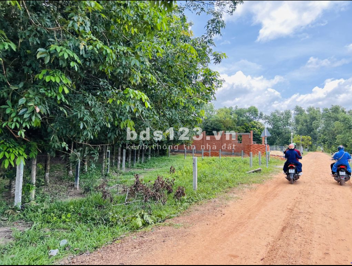Bán đất diện tích 5x30 full thổ sổ hồng riêng chưa qua đầu tư, giá F0