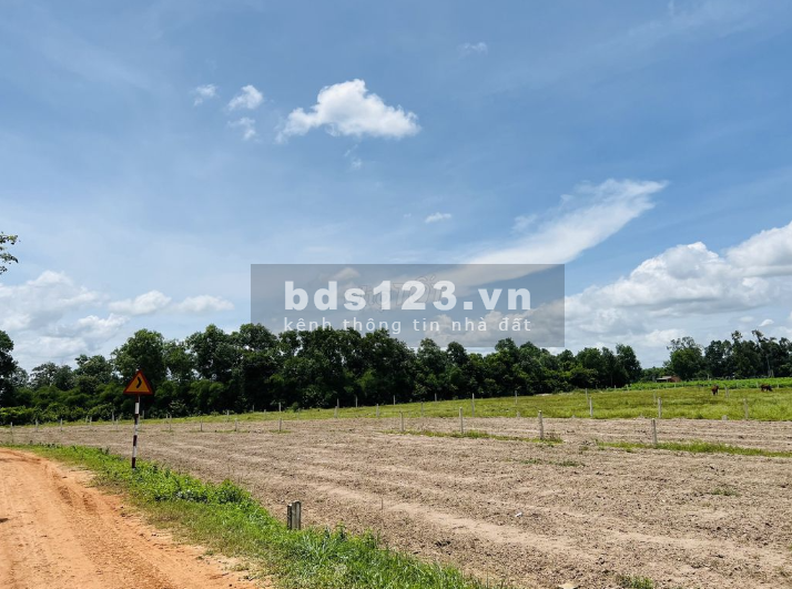 Bán đất diện tích 5x30 full thổ sổ hồng riêng chưa qua đầu tư, giá F0