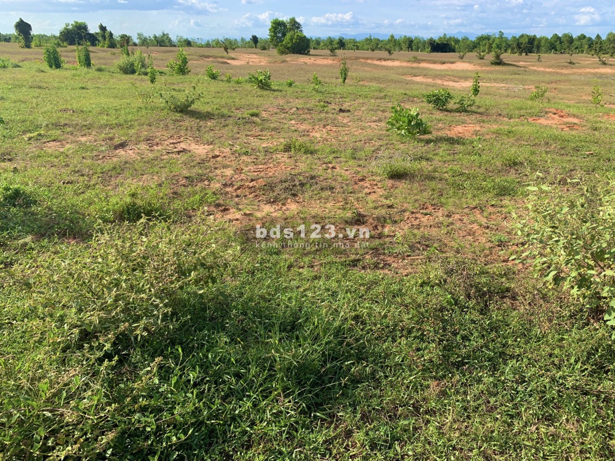 [VỊ TRÍ ĐẸP] Bán lô cách liên huyện ra Sân bay chỉ 700m. LH : 0901119499