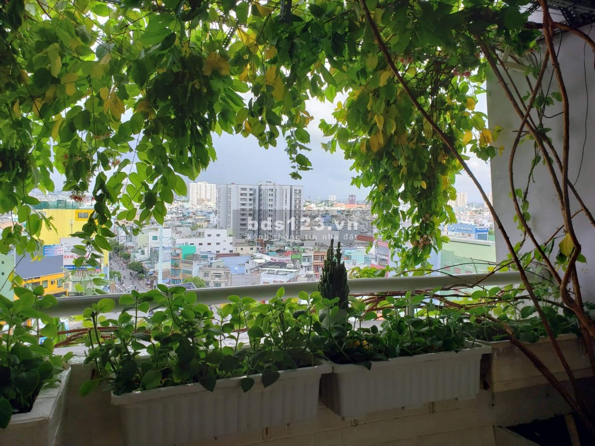 Bán căn hộ chung cư Phú Thọ Quận 11 có sổ hồng đầy đủ, sở hữu lâu dài