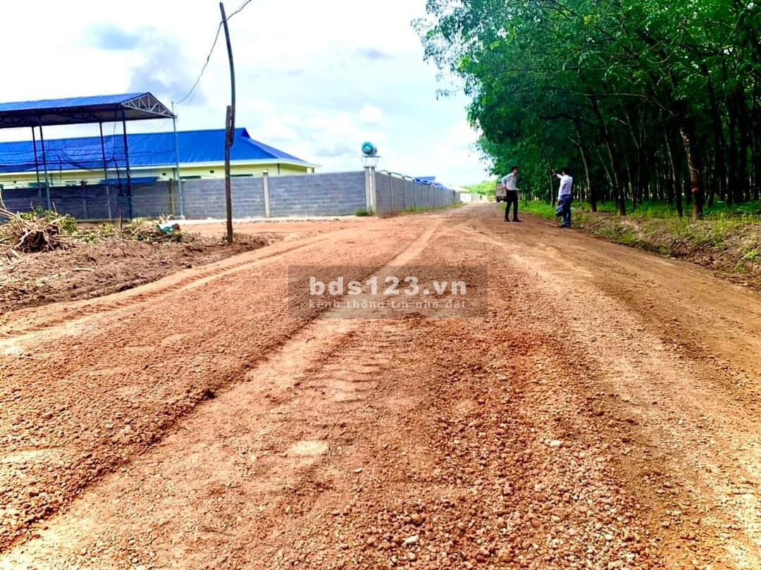 Đất nền đầu tư Bình Dương giá rẻ, liên hệ 0845793222, sổ hồng riêng, hỗ trợ sang tên, công chứng