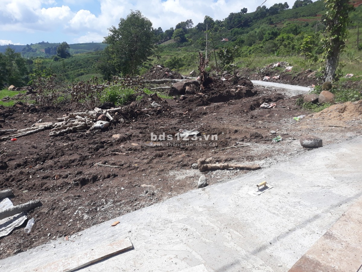 Cần bán nhanh 1 sào đất nghỉ dưỡng tại Di Linh, sổ hồng riêng từng nền