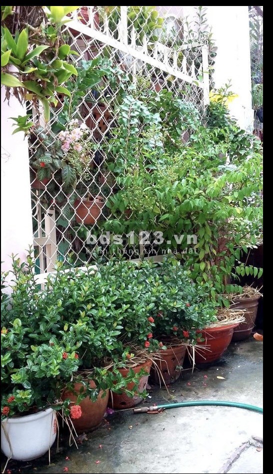 Cần bán nhà chính chủ TP Thủ Đức giá 5,85 tỷ, thương lượng bớt lộc cho khách thiện chí