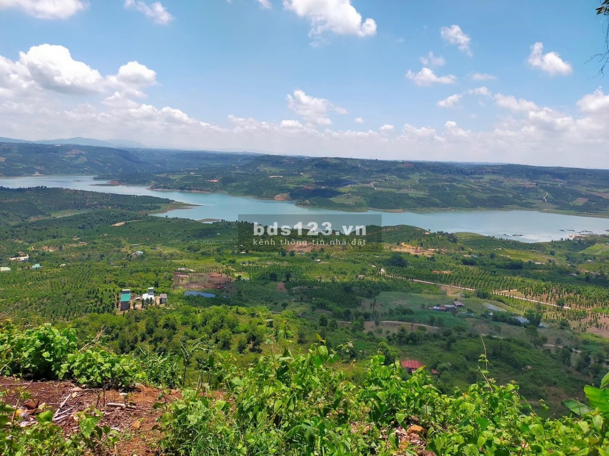 Vẻ đẹp không tùy vết của Di Linh view Sông Thác Đá Đồi Chè, liên hệ