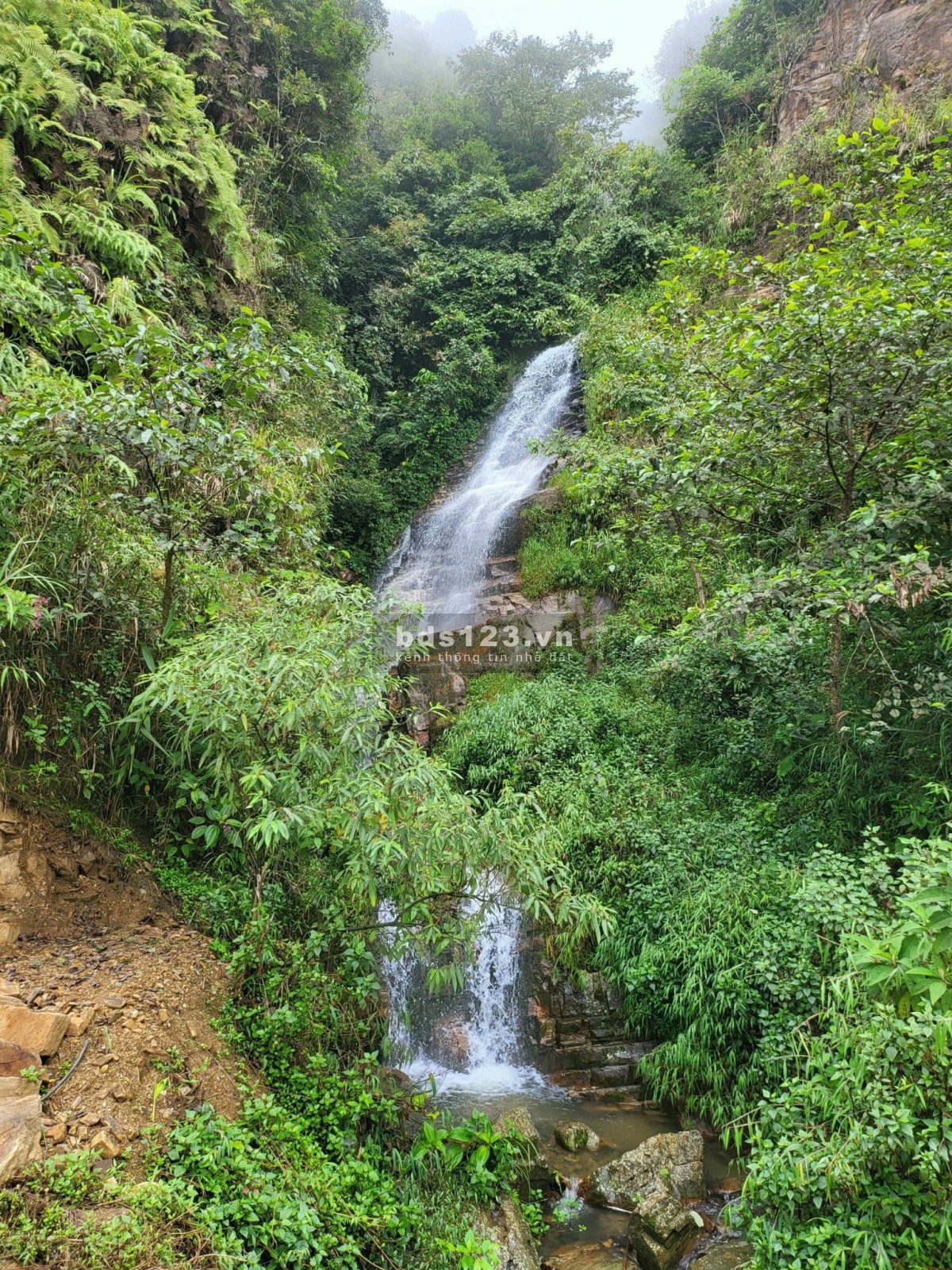 Vẻ đẹp không tùy vết của Di Linh view Sông Thác Đá Đồi Chè, liên hệ
