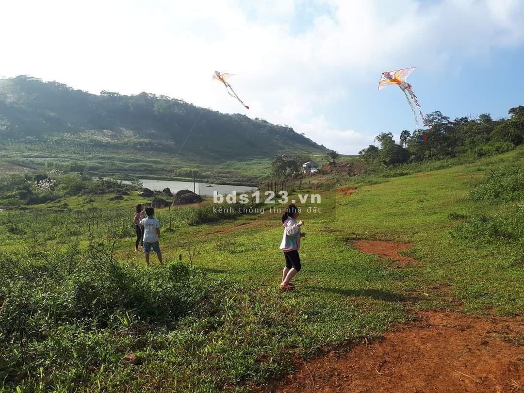 Vẻ đẹp không tùy vết của Di Linh view Sông Thác Đá Đồi Chè, liên hệ