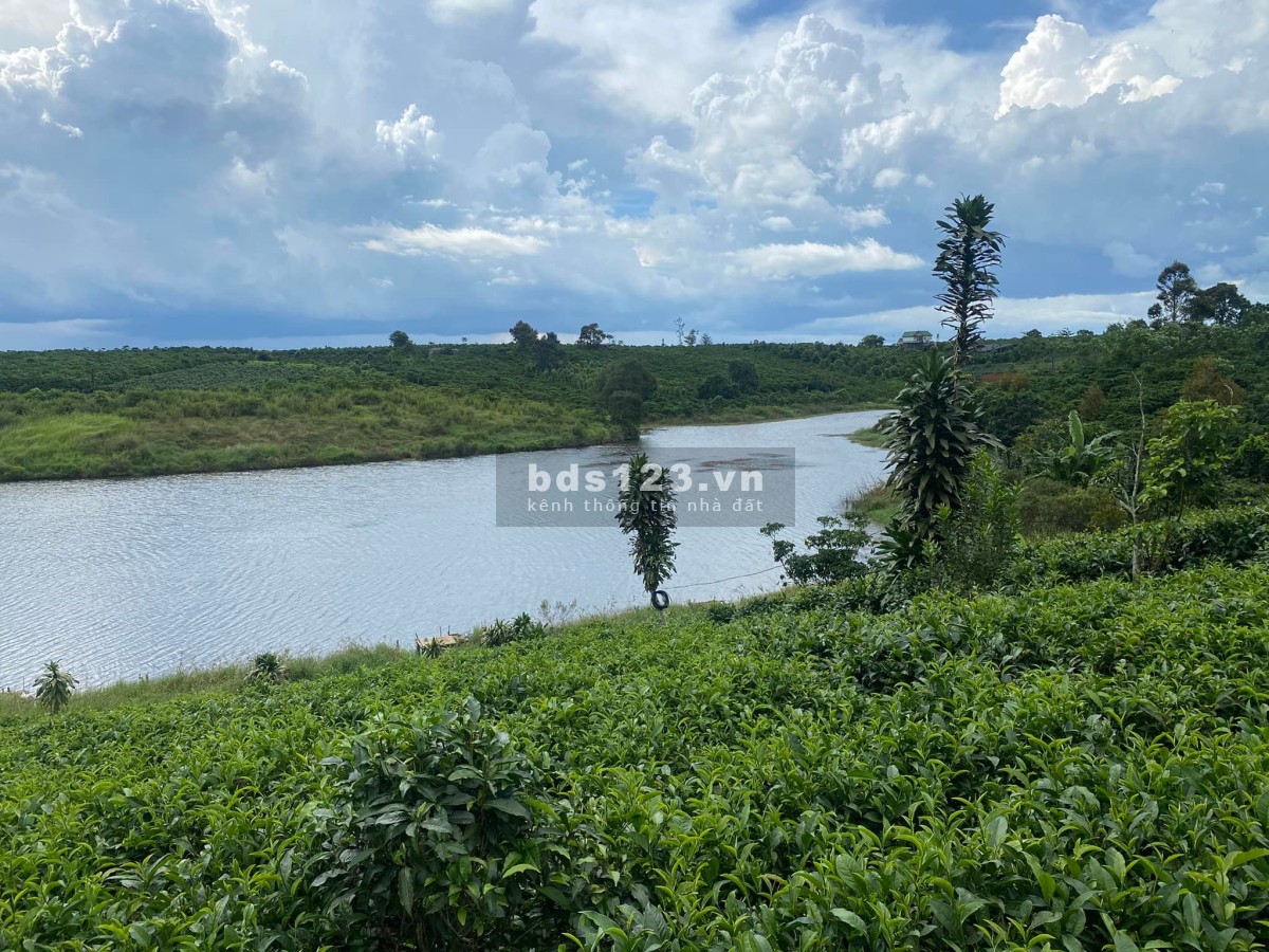 Vẻ đẹp không tùy vết của Di Linh view Sông Thác Đá Đồi Chè, liên hệ