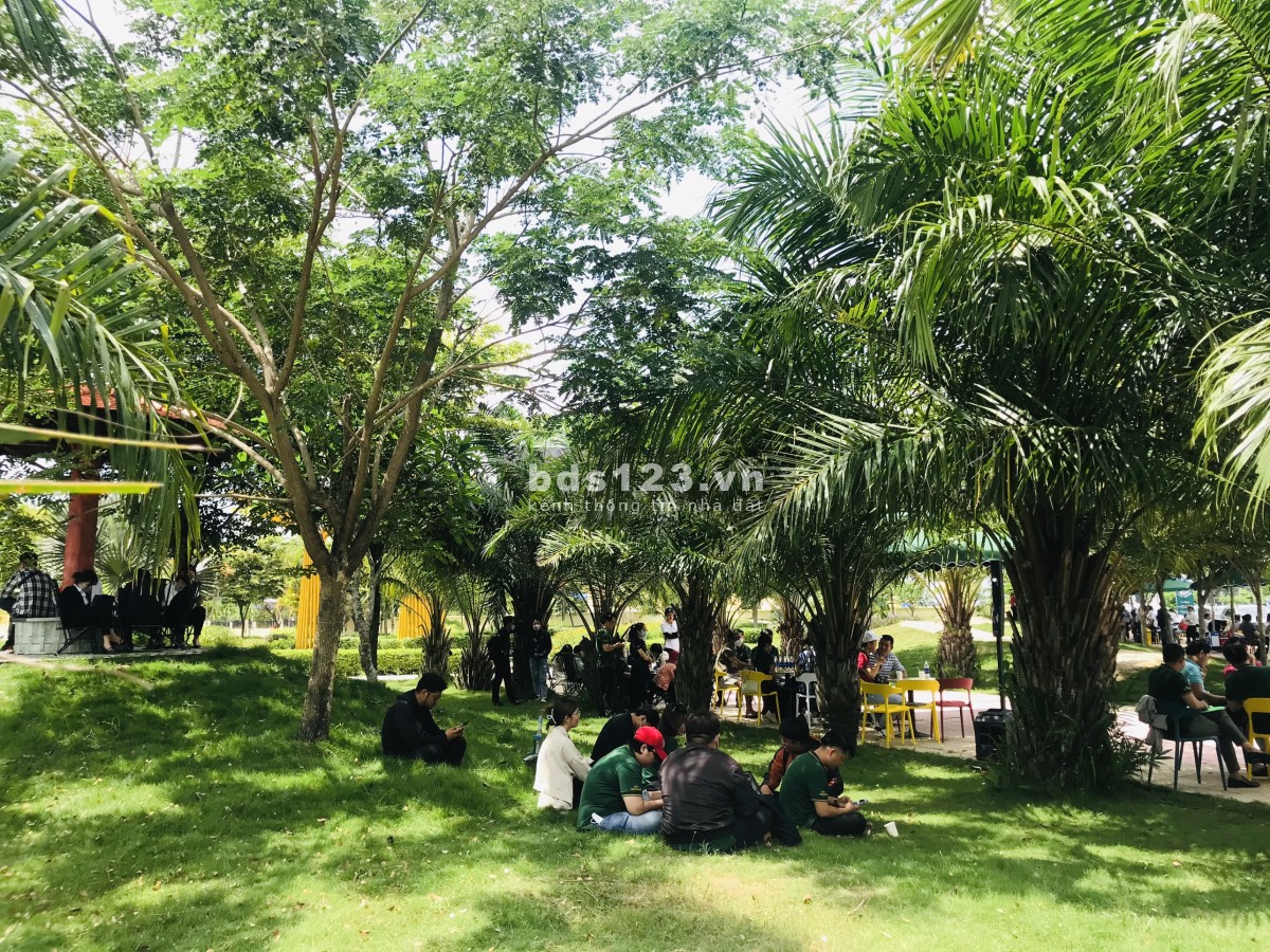 Bán đất trung tâm hành chính Huyện Bàu Bàng liền kề khu công nghiệp giá tốt