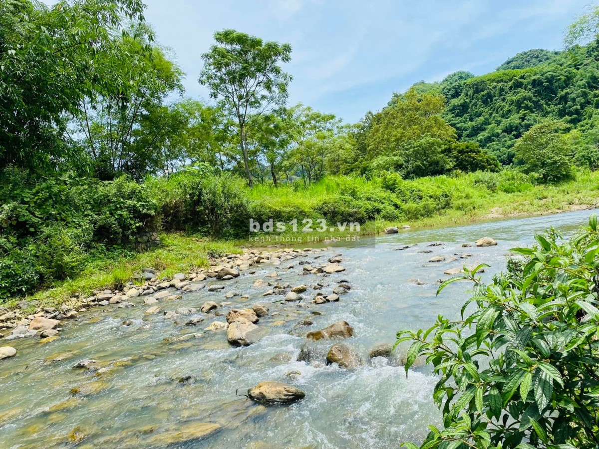 Cần bán đất Di Linh view sông cách Quốc Lộ 20 có 30 Phút giá tốt đầu tư
