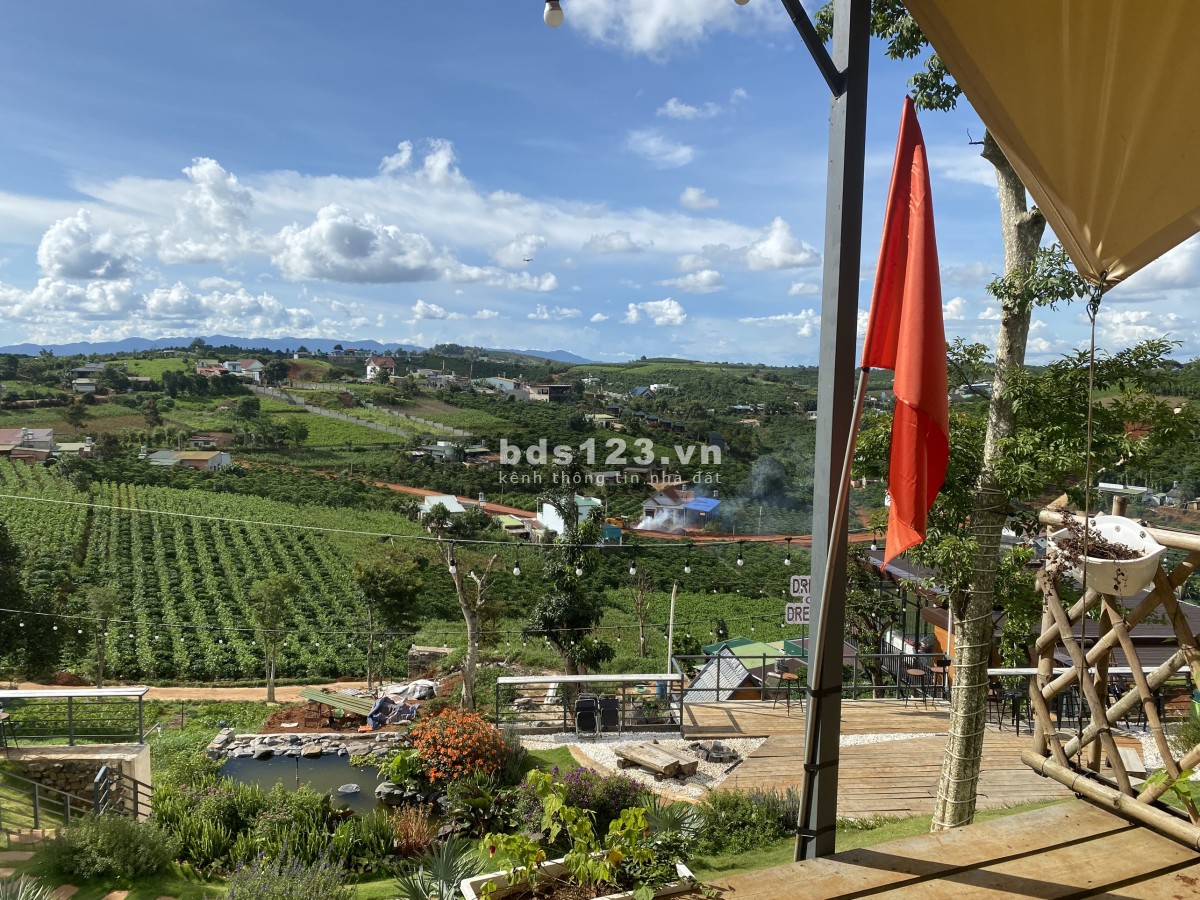 Đất nền mặt tiền đường lớn (15m), FULL thổ cư, view đẹp, gần Tp. Bảo Lộc, 590Tr/240m2.