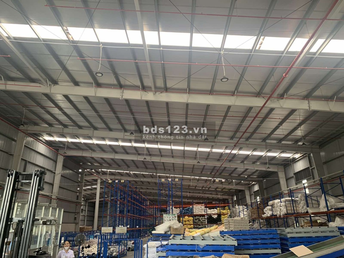 Cho thuê kho xưởng 6977m2 trong khu công nghiệp Thuận Đạo, Bến Lức, Tỉnh Long An
