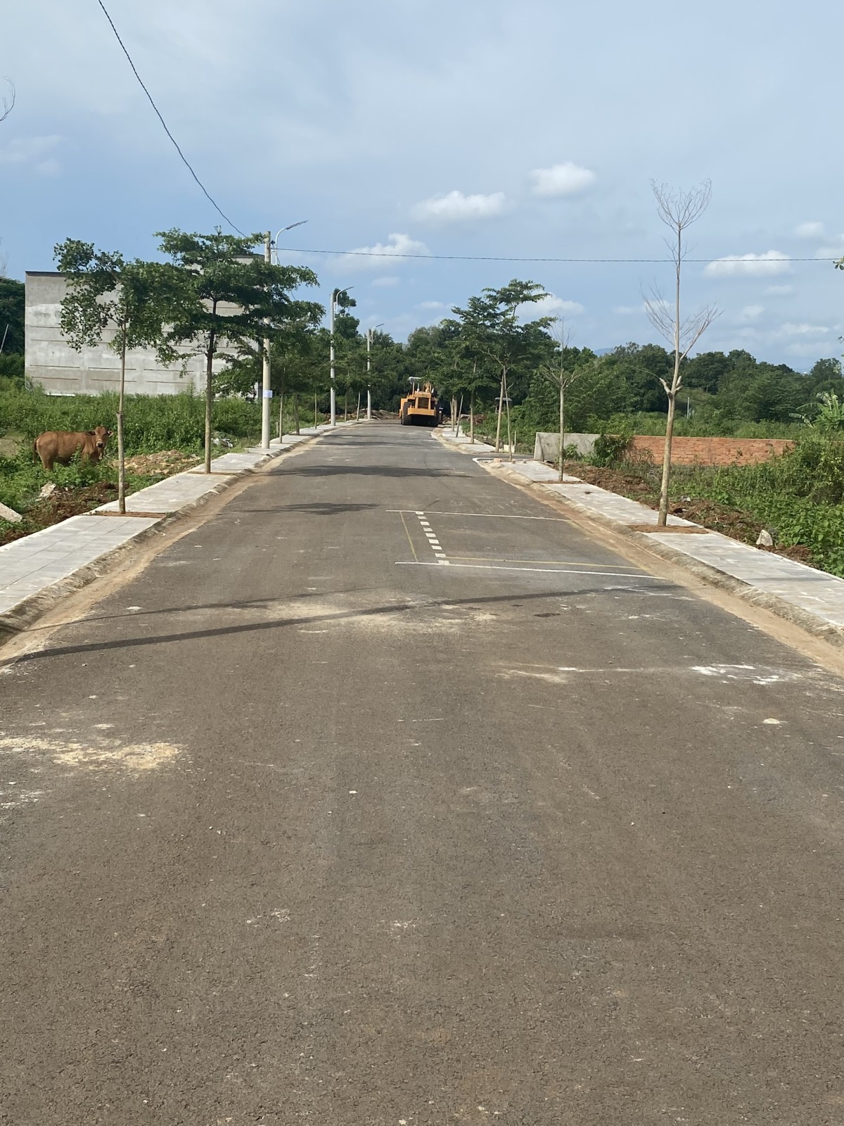 Cần bán đất nền tại trung tâm tân phú với giá chỉ từ 9,9 triệu/m2 khu an ninh