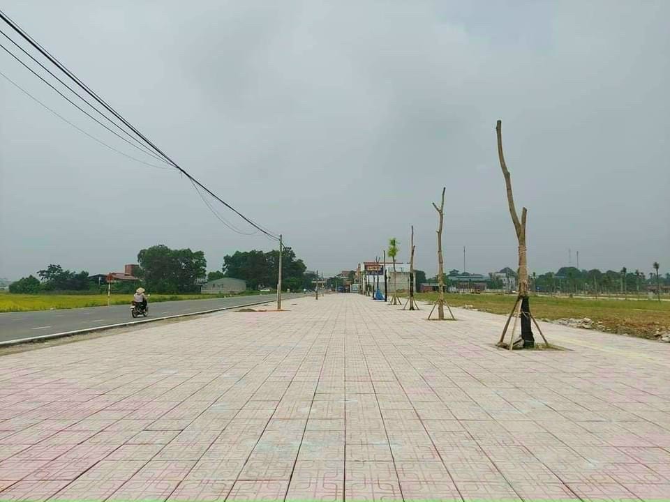 Ban Đất Nền khu đô thị Nhã Nam Tân Yên Bắc Giang sẵn sổ đỏ đầu tư sinh lời