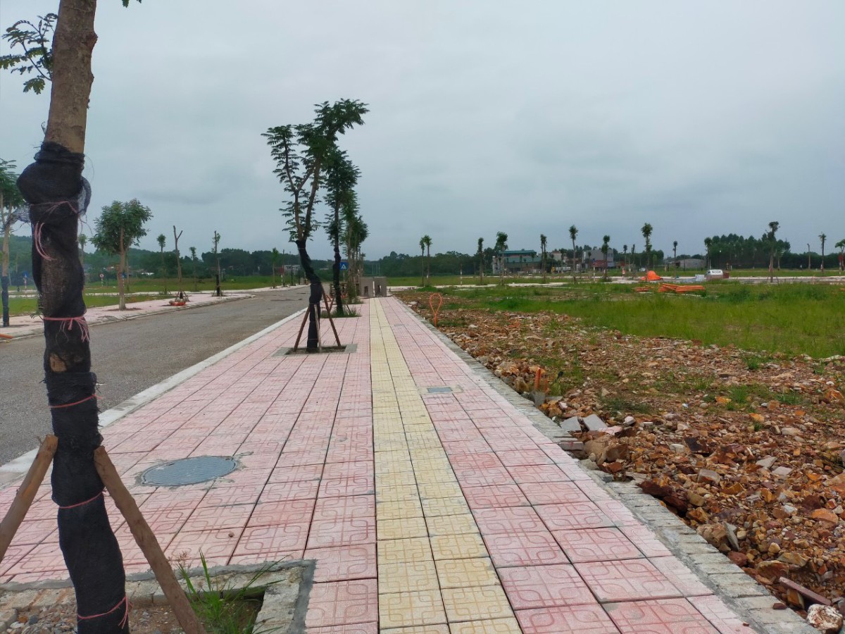 Ban Đất Nền khu đô thị Nhã Nam Tân Yên Bắc Giang sẵn sổ đỏ đầu tư sinh lời