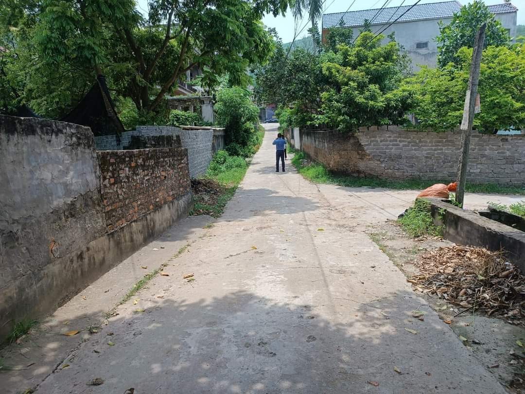 Chính Chủ Cần Bán Đất Thị Xa Lan Mẫu giá rẻ đầu tư liên hệ 0906312626
