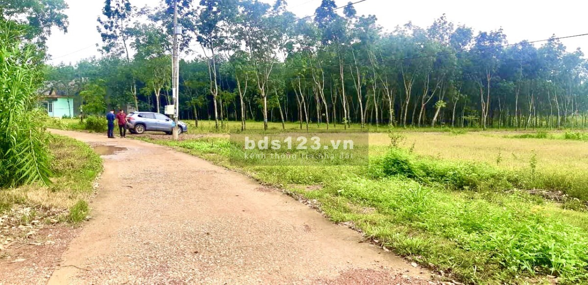 Bán đất thổ cư Tân Lợi gần Becamex Đồng Phú giá 640 triệu giá tốt đầu tư