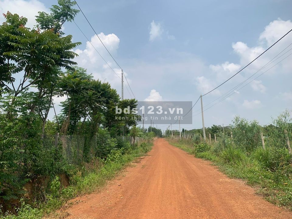 Đất vườn Xoài Túc Trưng Định Quán giá siêu rẻ đây anh chị ơi đầu tư sinh lời