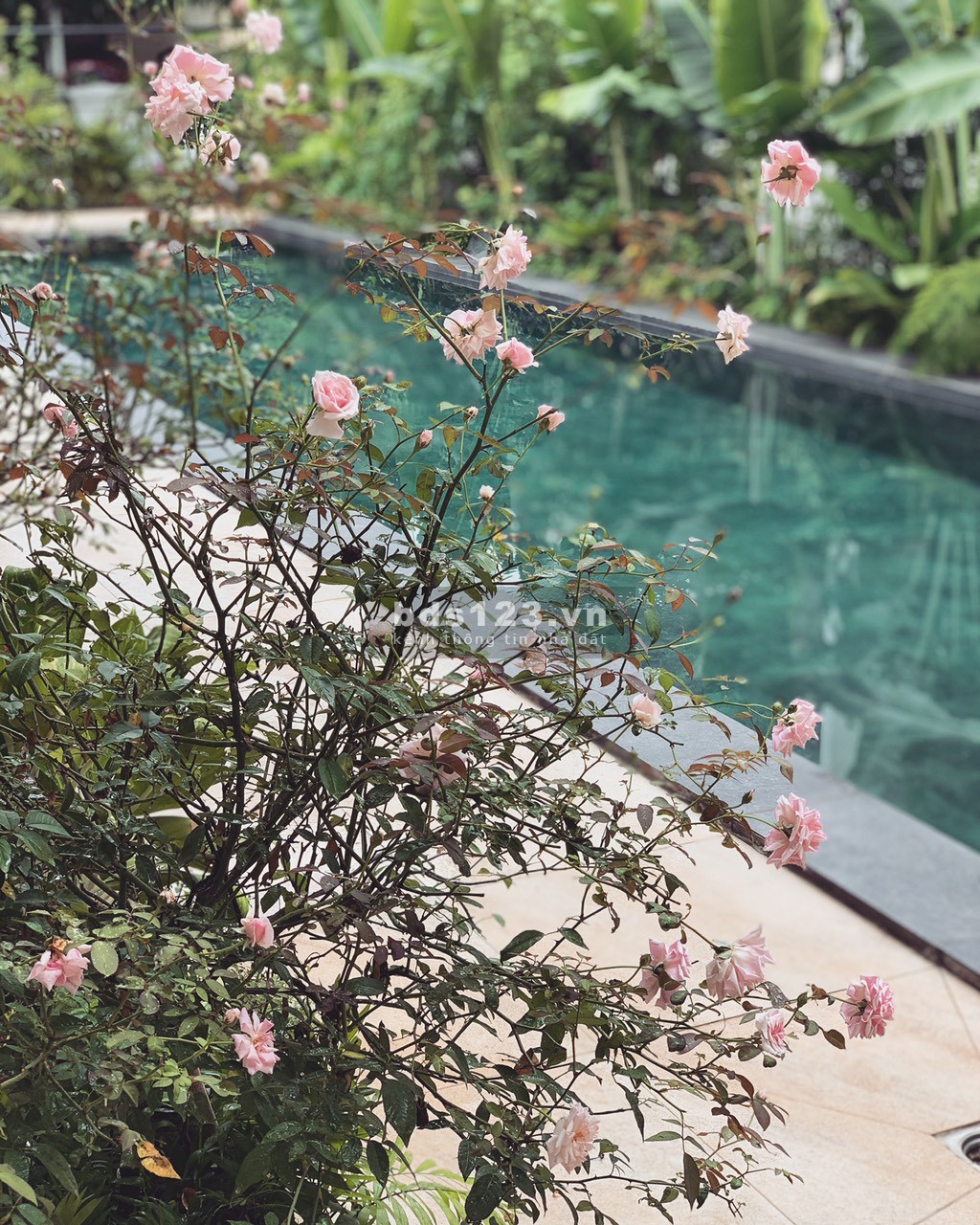 Căn biệt thự đơn lập đẹp nhất Senturia Vườn Lài nội thất nhập Rạp 4k hồ bơi, hồ Koi