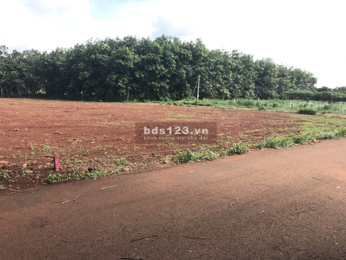 Bán đất Thành Phố Bà Rịa liên hệ 0356861079 Giá đầu tư F0 sổ sẵn chính chủ