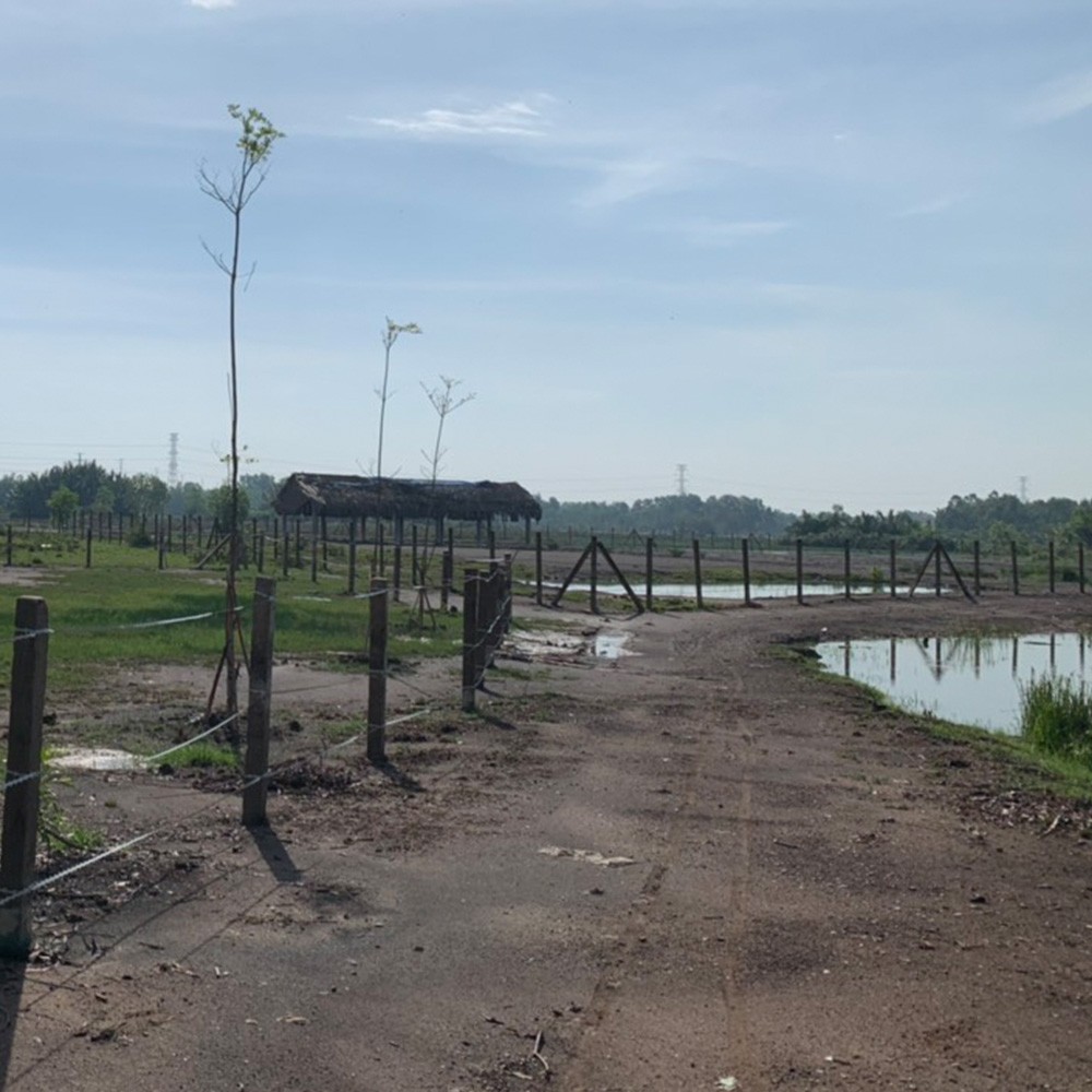Đất vườn Ao Sấu Phước Khánh 2000m2 giá 6ty3 xây nhà vườn cách Sài gòn 5km