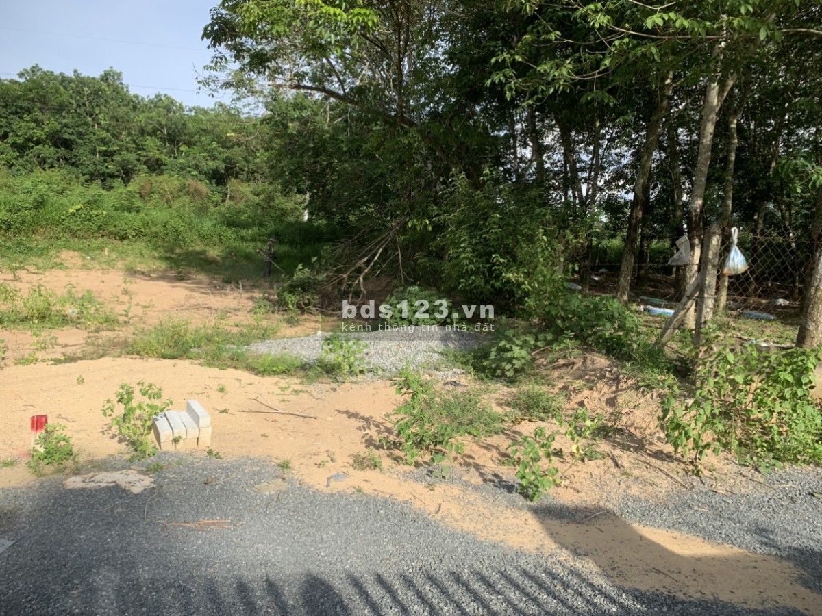 Diện tích 250m2, Phú An giá rẻ sổ hồng riêng ngân hàng hỗ trợ vay 50%
