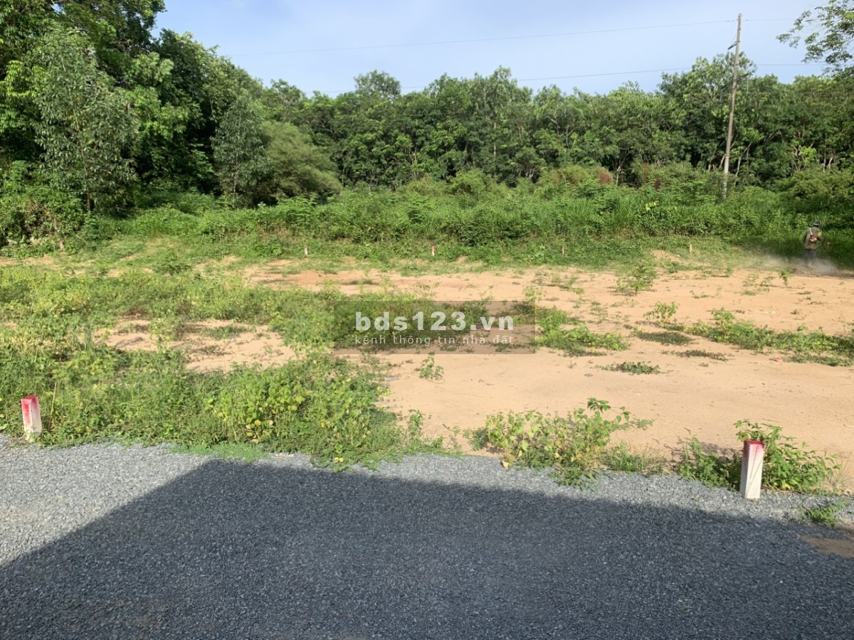 Diện tích 250m2, Phú An giá rẻ sổ hồng riêng ngân hàng hỗ trợ vay 50%