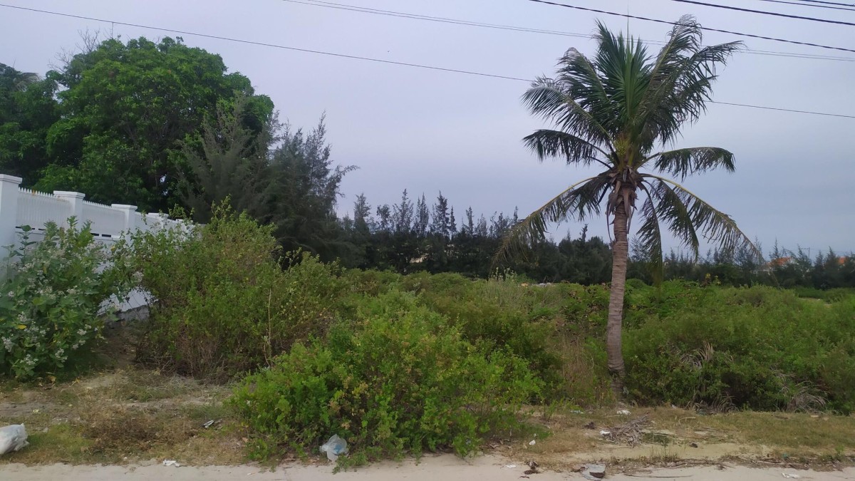 Bán lô đất Vuông vắn cách biển Dốc Lết chỉ 500m Ngang 21m Ninh Thủy Ninh Hòa lh 0395287569