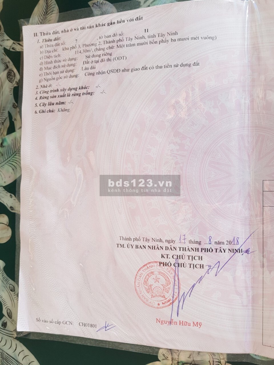 Nhà mặt tiền đường Pasteur - Thổ cư 100% phù hợp kinh doanh đa ngành nghề
