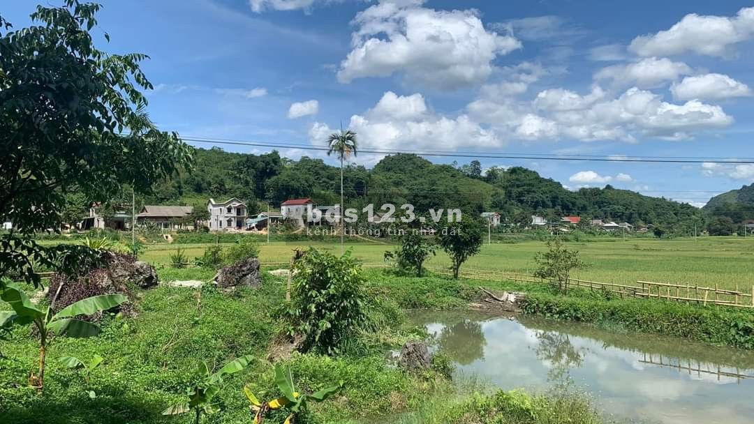 Chính chủ chuyển nhượng gấp mảnh đất thổ cư tại Tân Lạc Hòa Bình