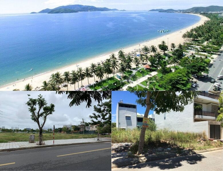 mua-ban-dat-da-nang-chinh-chu-gia-tot-nhieu-uu-dai_1657682442.jpg Mua bán đất Đà Nẵng chính chủ, giá tốt nhiều ưu đãi tại Bds123.vn