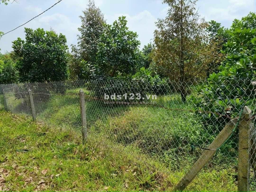 Ngộp ngân hàng bán gấp lô đất diện tích 4135m2 đất vườn đường 12m, giá 900tr