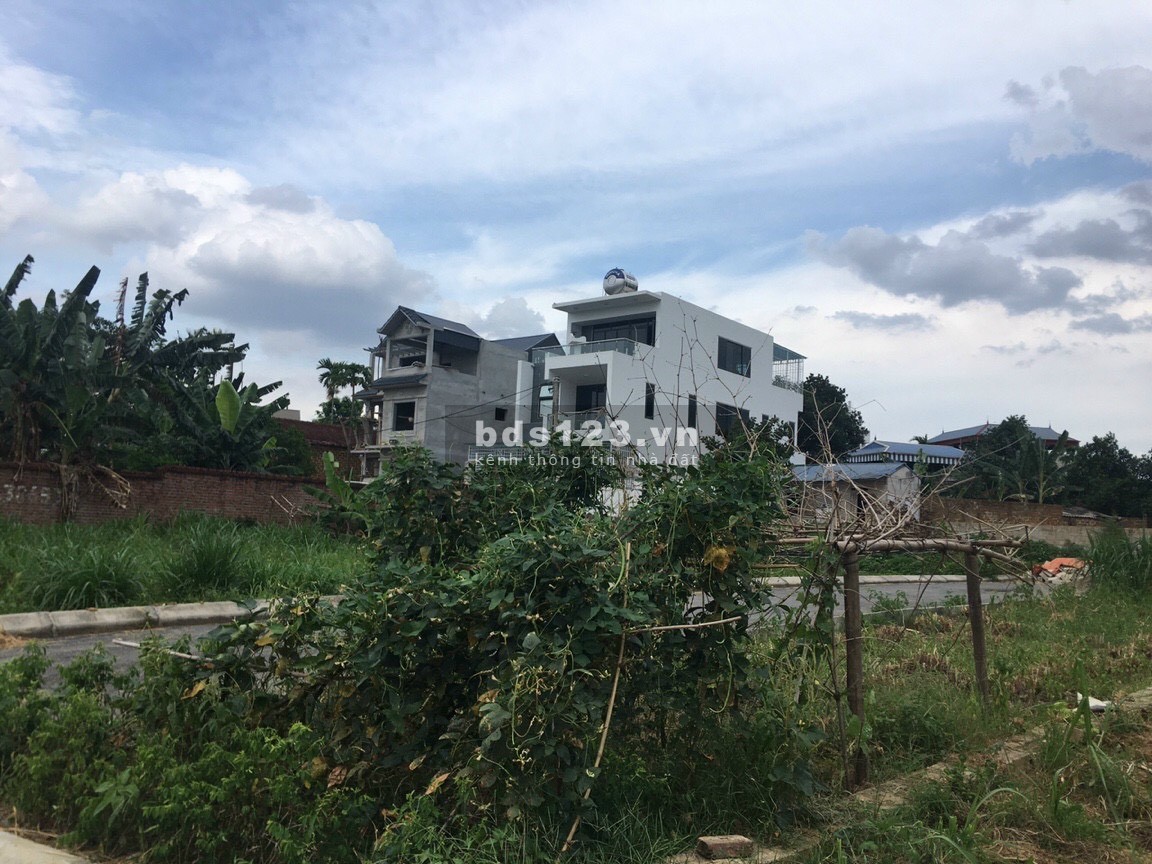 Bán lô đất 68m2 trục chính thôn 3 Tân Xã giá chỉ hơn 1 tỷ đồng, sổ sẵn