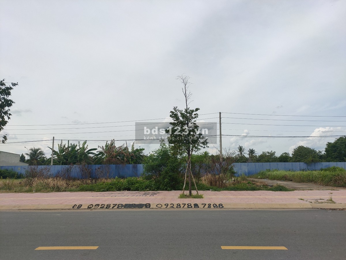 Đất nền mặt tiền đường Nguyễn Trãi thanh toán linh hoạt, giá tốt