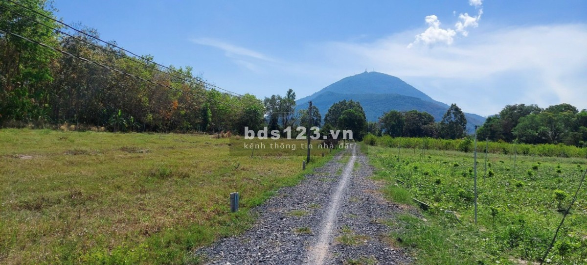 Bán đất nền Tây Ninh giá rẻ sổ sẵn chỉ với 490 triệu giá tốt đầu tư sinh lời