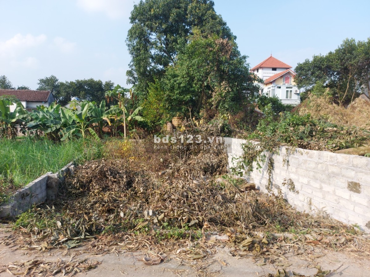 S114m Thôn 7 Tân Xã Giá Chỉ 2 Tỷ gần khu công nghiệp, liên hệ 0965528169