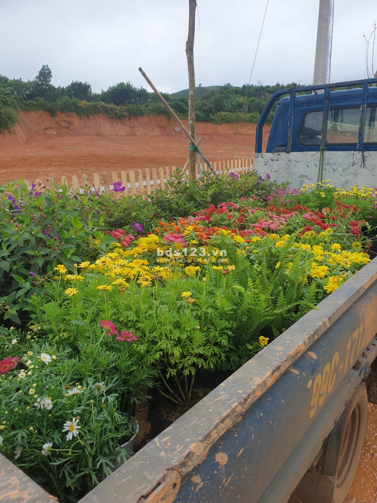 Cần ra vài lô đất nghỉ dưỡng tại Lộc Đức, ngay khu dân cư hiện hưu, gần UBND xã chợ và Trường học
